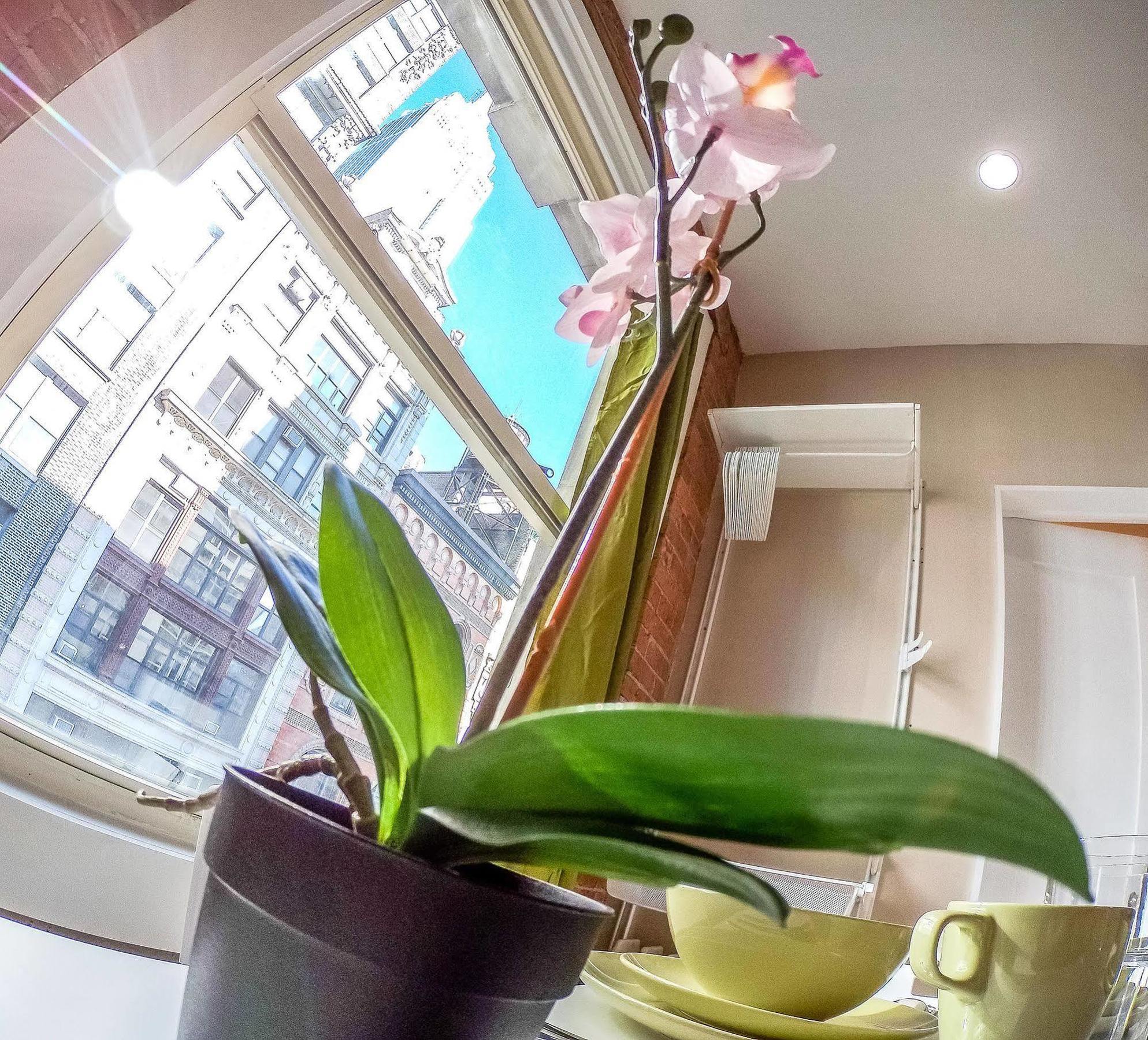 Green Holidays Apartments 뉴욕 외부 사진